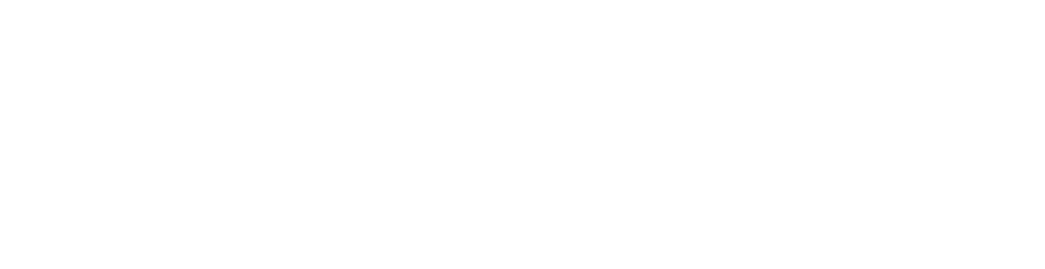 مجموعة الريسي